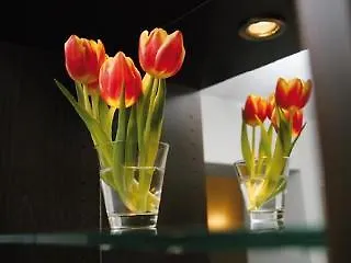 Helvetia Center Hotell